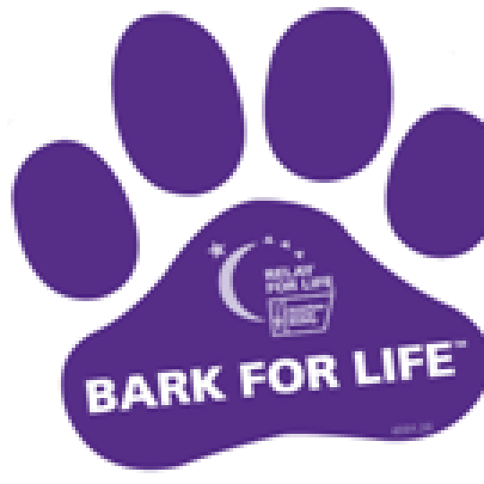 Bark For Life of Ann Arbor logo